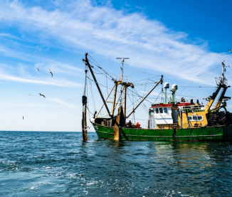 sustainable fisheries
