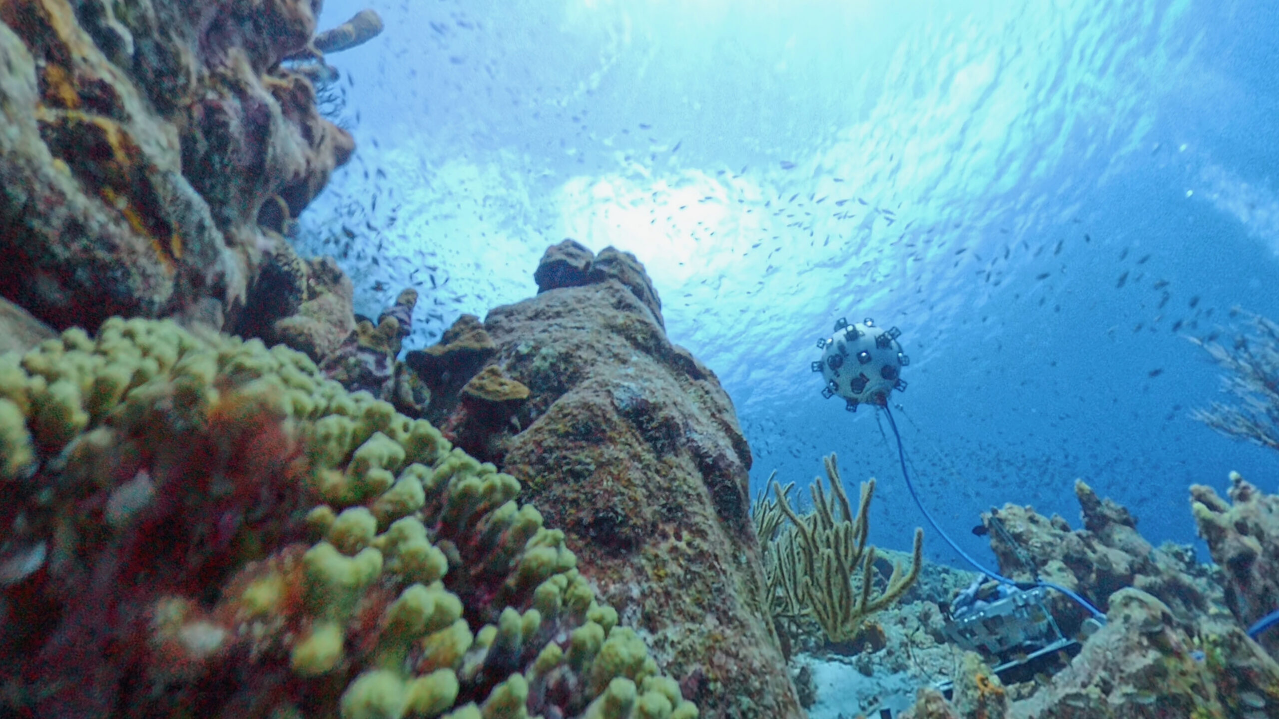Underwater shot of a coral reef